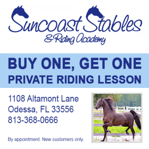 Suncoast Stables BOGO