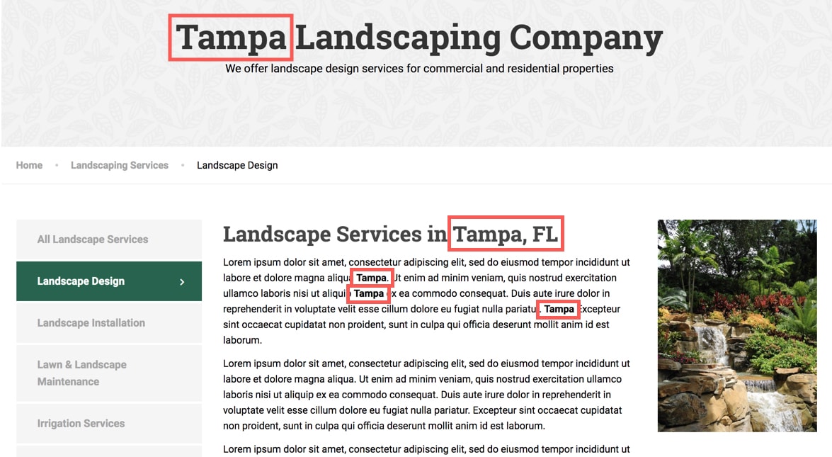 duplicate-seo-content-tampa