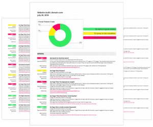 website seo audit service