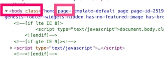 wordpress-body-class-example