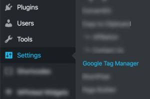 wp-settings-gtm